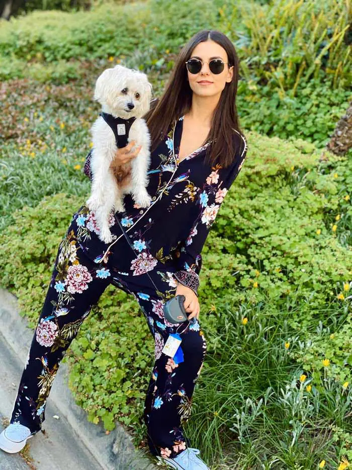 victoria justice with her puppies on social media 4